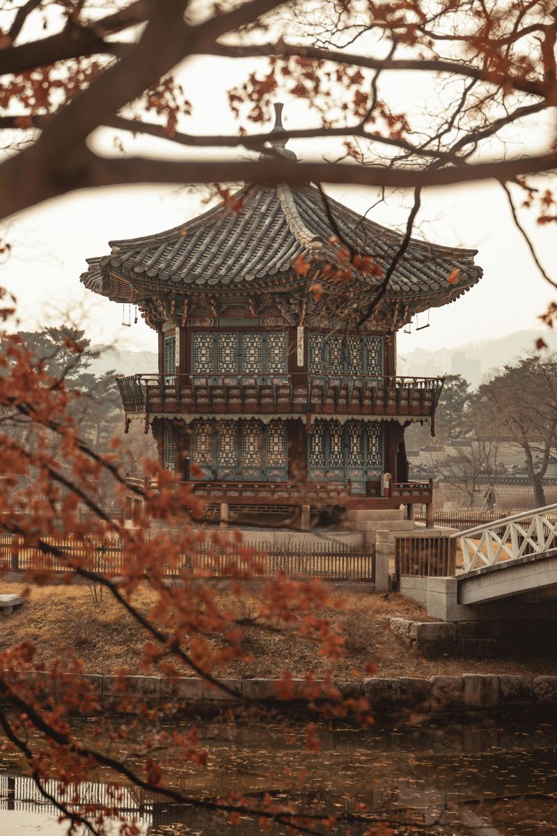 Thời Tiết Lý Tưởng Để Tham Quan Hàn Quốc 🌸🍂❄️🌞